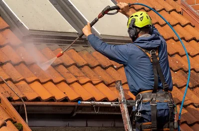 Démoussage et hydrofuge de toiture au Tour-du-Parc